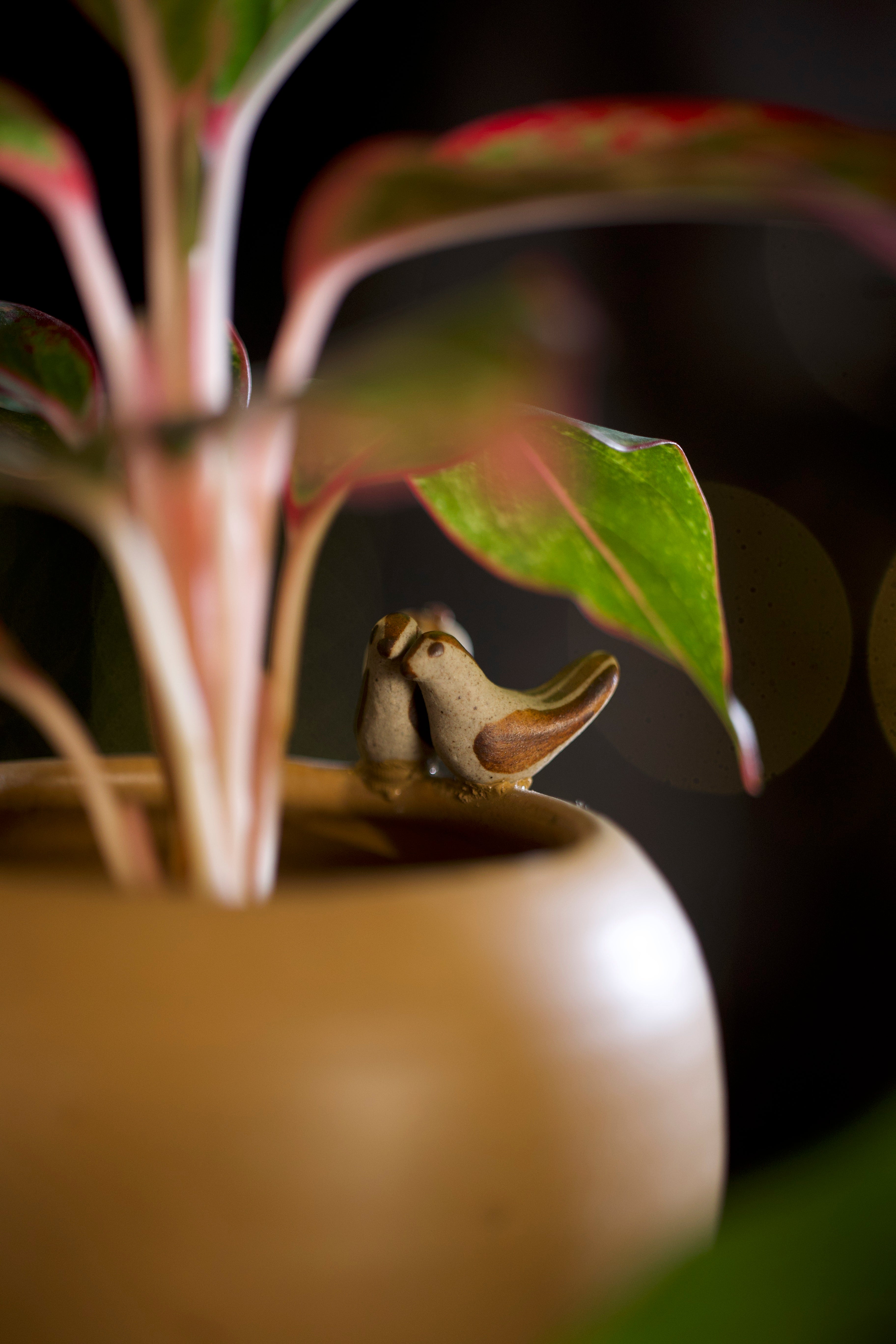 Ceramic Small bird figurine inside a pot with a plant, handmade ceramics India, ceramic home décor online