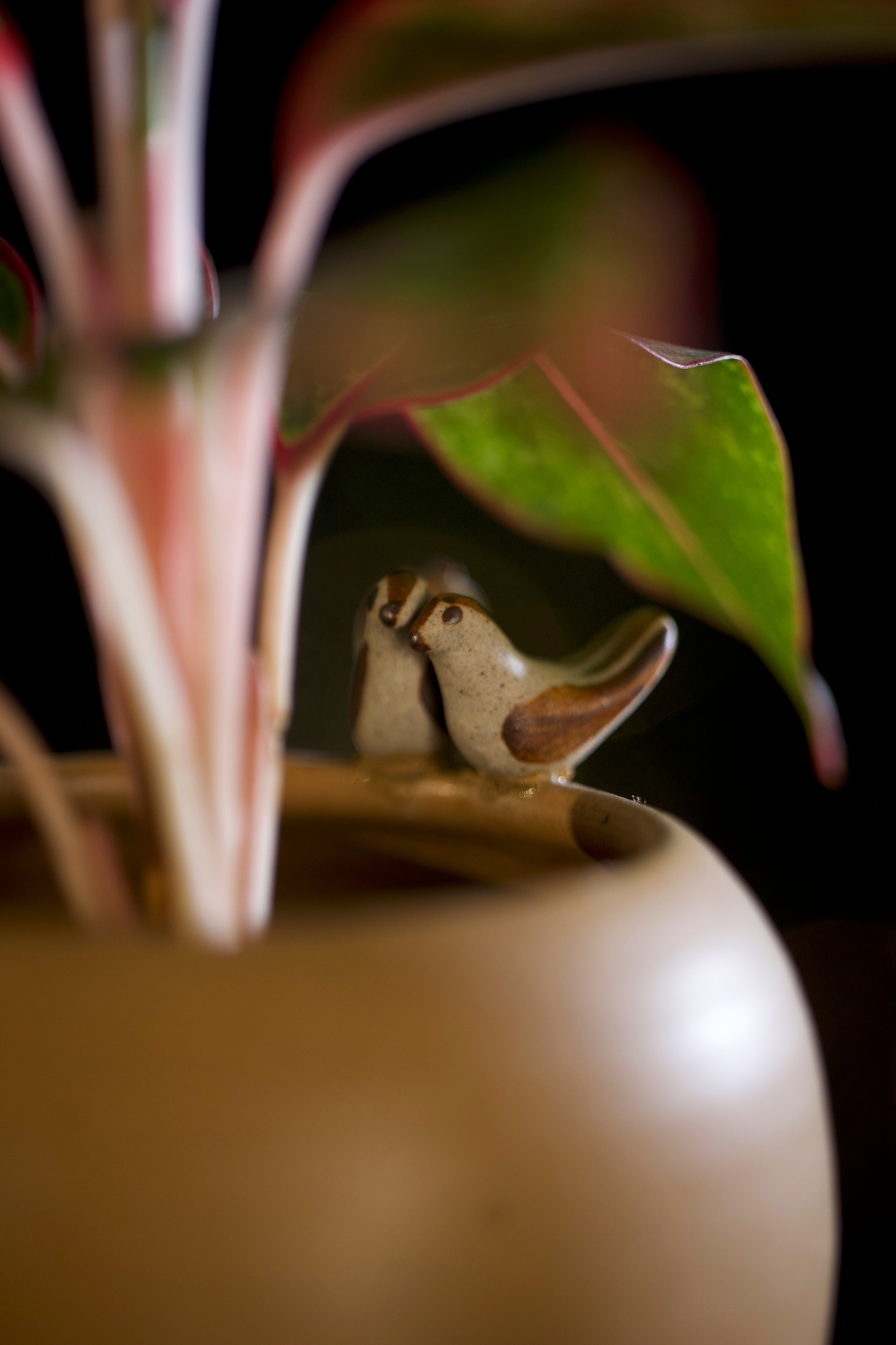 Small ceramic bird figurine on a pot with a plant in the foreground, handmade ceramics India, ceramic home décor online