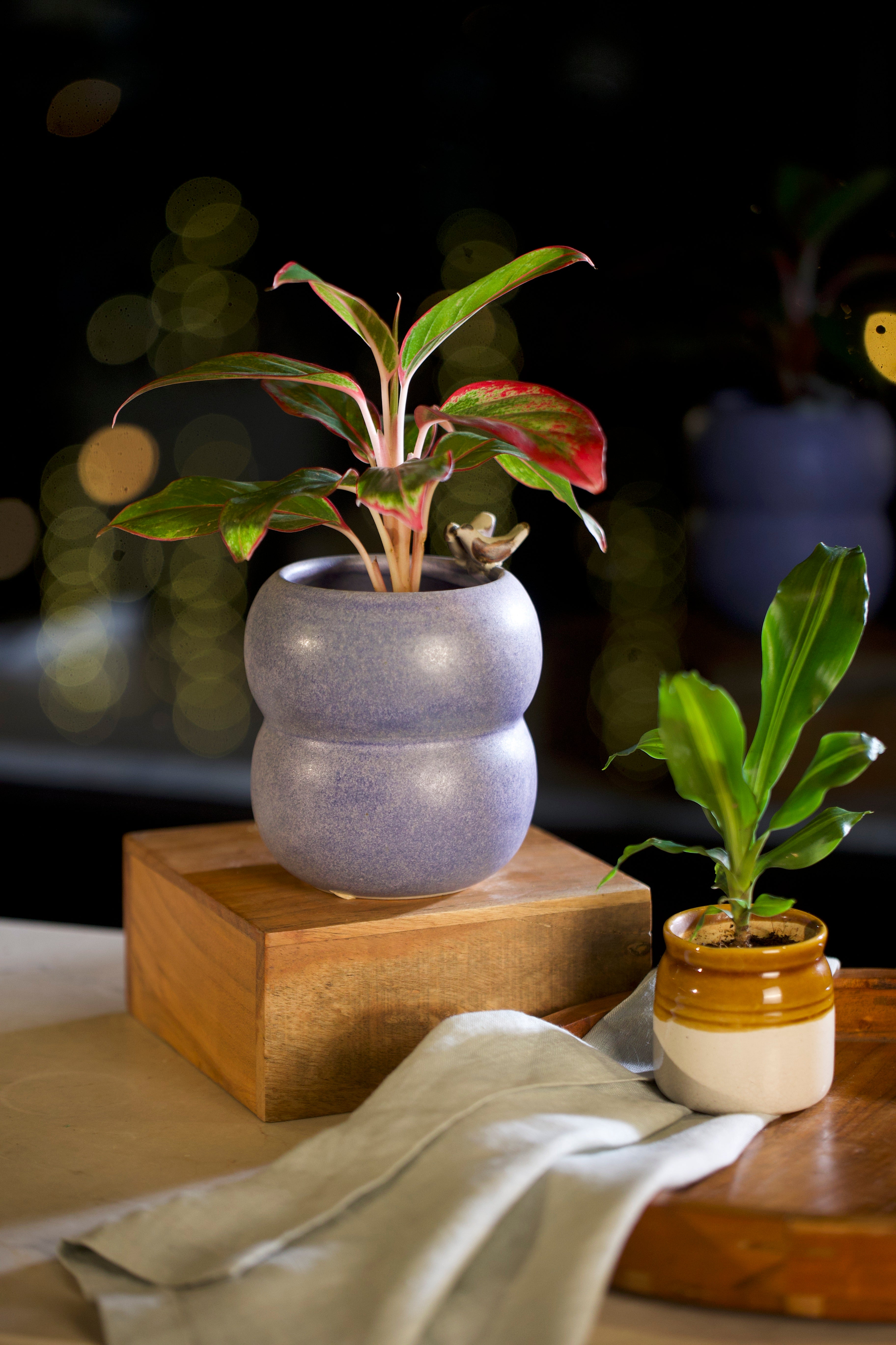 A small indigo planter handmade ceramics India, ceramic home décor online